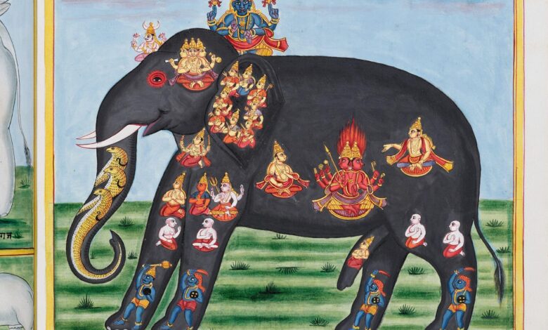 Gajaśāstra Manuscript: Indigenous and Colonial Knowledge Clash