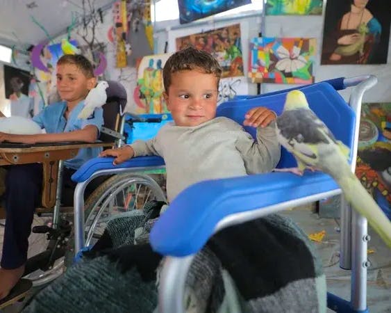 Zootherapie in Gaza: Tiere geben traumatisierten Kindern Hoffnung