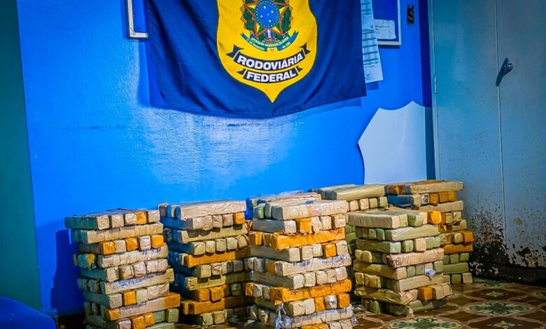 Apreensão recorde de maconha e prisão na BR-163