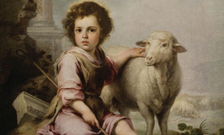 La sabiduría de las ovejas: El desafío de discernir en tiempos de ruido