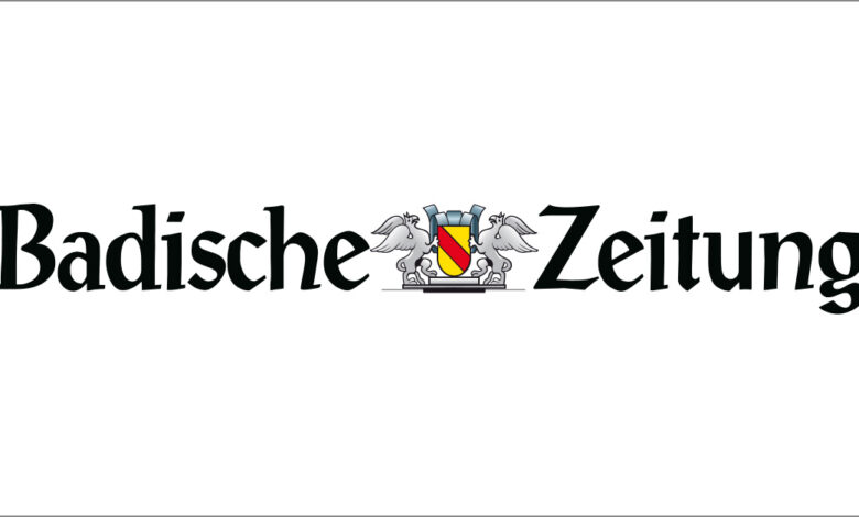Sparpotenzial bei Krankenkassen: Sind 93 Verwaltungen zu viel?