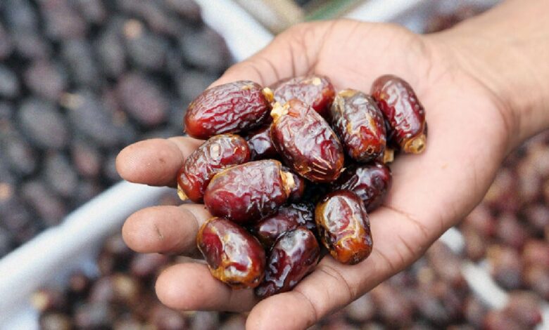 ارتفاع قيمة صادرات التمور السعودية إلى مملكة هولندا بنسبة 47% مقارنةً بعام 2024