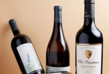 Winter Wine Feast at Tate Modern: Art, Technology, and Cellar Discoveries