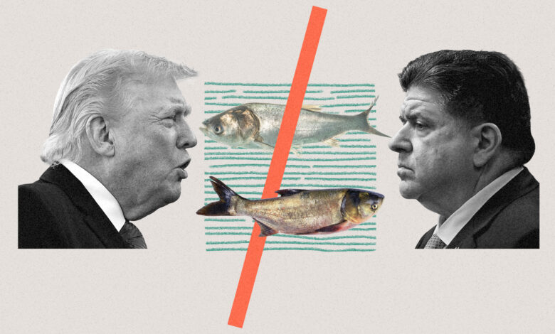 Trump and Pritzker feud over barrier against invasive carp