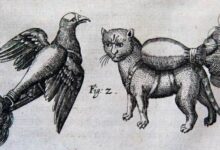 Explosive Cats Imagined in a Strange, 16th Century Military Manual