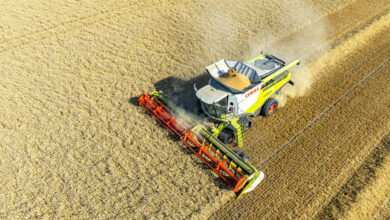 Átrendeződik a magyar gabonapiac: új kihívások