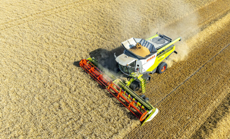 Átrendeződik a magyar gabonapiac: új kihívások