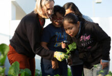 California’s teacher residencies can’t thrive without community school training