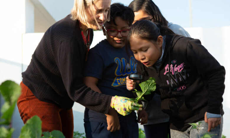 California’s teacher residencies can’t thrive without community school training