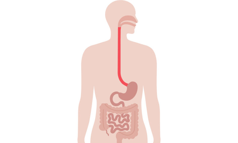Senyals del cos que sovint ignorem i que cal escoltar