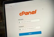 cPanel vulnerability: what MISRYOUM says hosts should do now