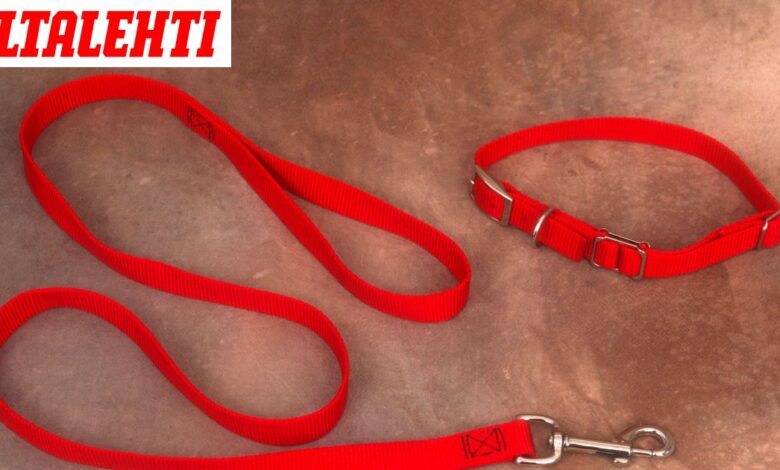 Koira karkasi toisen päälle Oulussa – seuraukset olivat kohtalokkaat