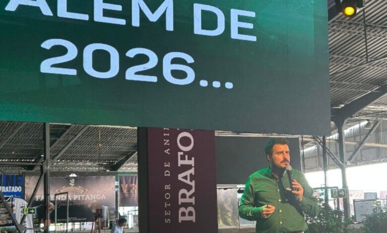 Carne bovina valorização: demanda global eleva preços