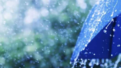 Uganda’s Farming Struggles Under Shifting Climate