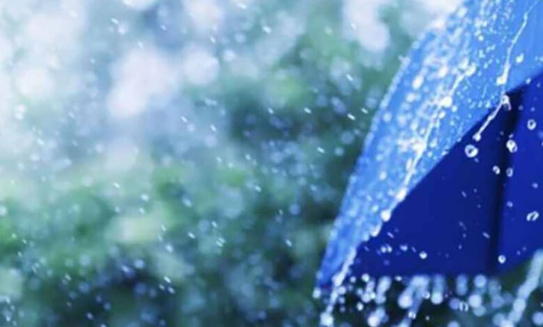 Uganda’s Farming Struggles Under Shifting Climate