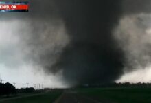 Tornadoes and Wildfires Upend U.S. Communities as Climate Risks Intensify
