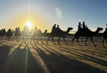 Ducks vs Oilers: Game 4 overtime shifts first round