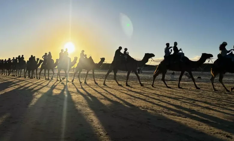 Ducks vs Oilers: Game 4 overtime shifts first round