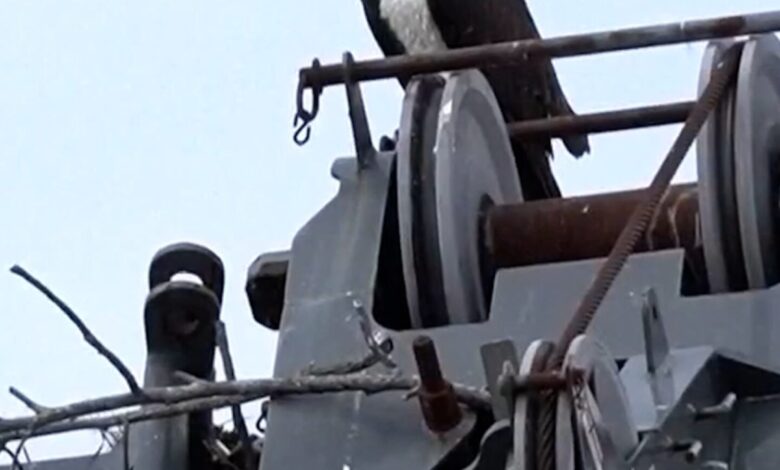 Ospreys halt construction after making a nest on a crane