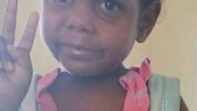 Missing 5-year-old Australian girl: Sharon Granites search enters day 2