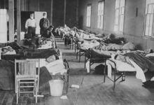 Pete Hegseth Is America’s New Secretary of Pestilence