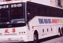 Ayo Edebiri drops a nostalgic Fung Wah bus reference on ‘Today’ show