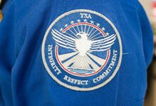 Trump to nominate David Cummins as TSA administrator amid staffing crisis