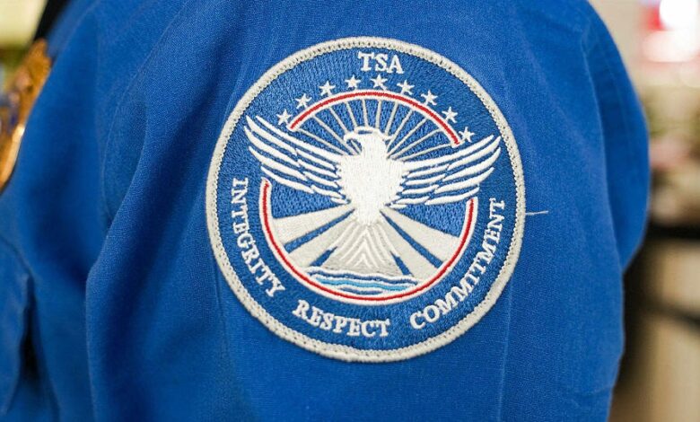 Trump to nominate David Cummins as TSA administrator amid staffing crisis