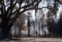 Georgia wildfires rage: 100+ homes lost as fires grow