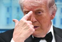 Conspiracy video boom after WHCD chaos: Why reaction culture spreads fast