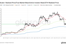 Bitcoin Reclaims Mean as 80K Becomes the Test