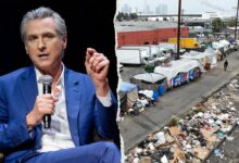Dems face scrutiny over Newsom homelessness grade as campaign heats up