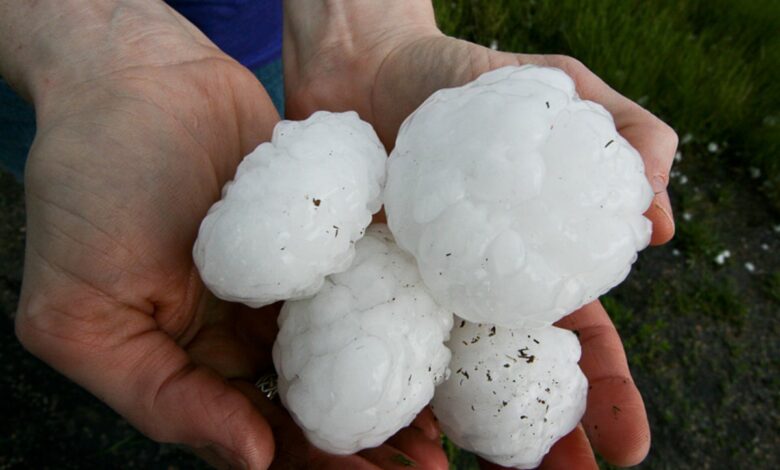 Missouri hailstorm kills emu at zoo—why such large hail forms