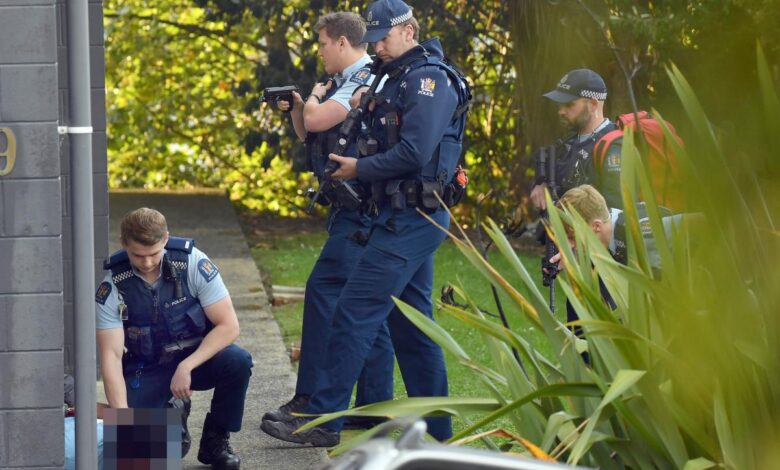 Police investigate shocking Dunedin stabbing and fire incident