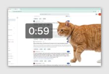 Cat Gatekeeper for Chrome: a cute way to cut doomscrolling