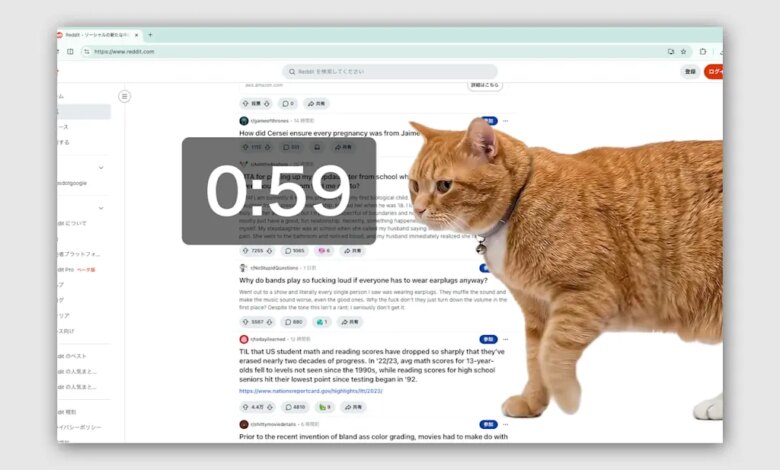 Cat Gatekeeper for Chrome: a cute way to cut doomscrolling