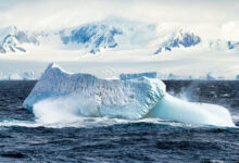 PFAS in Antarctica: How ‘Forever Chemicals’ Reach the Interior