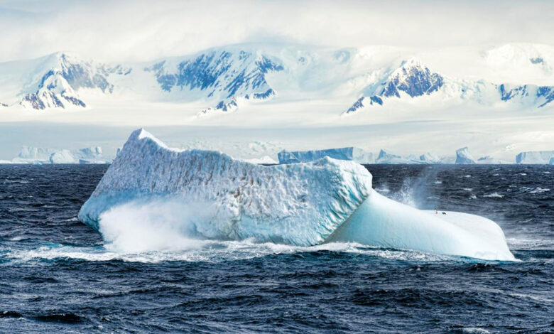 PFAS in Antarctica: How ‘Forever Chemicals’ Reach the Interior