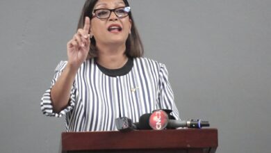 Panday attacks proposed airbridge fare increase