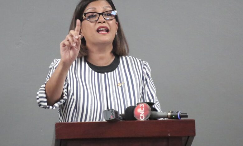 Panday attacks proposed airbridge fare increase