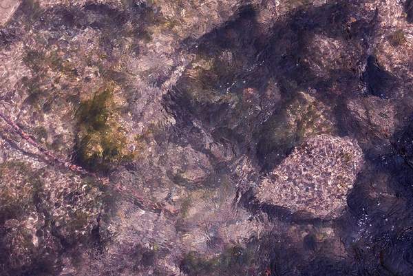 Voices of Water at Tate Modern: Art, Rights and the Deep Ocean