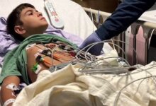 Living kidney donor saves 13-year-old Elias—now two families share hope