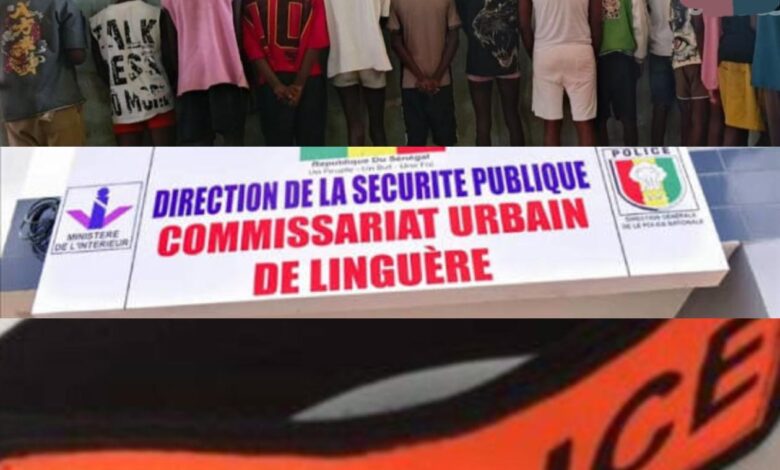 Linguère : L’étau se resserre dans l’affaire du réseau présumé