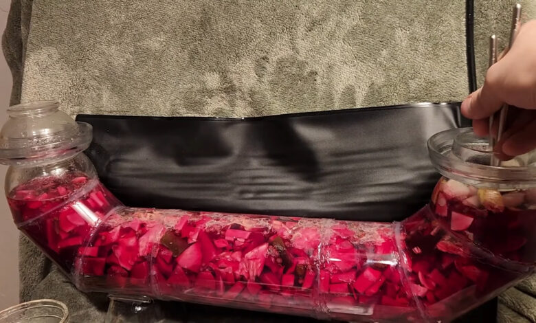 Hacking Fermentation for “Infinite” Pickles via Pass-Through Bioreactor