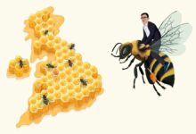 Manchesterism’s US-Style Lesson for How Democrats Govern