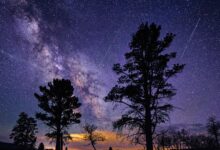 Lyrid meteor shower 2026: When, where & how to see it