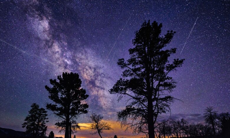 Lyrid meteor shower 2026: When, where & how to see it