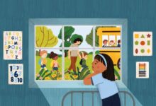 Birthright Citizenship Ruling: What It Means for Schools