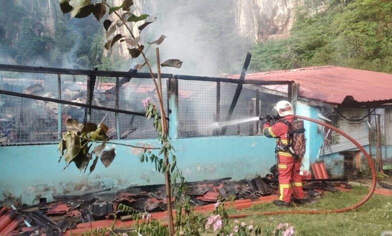 Tragedi Kebakaran Rumah Perlindungan Haiwan: 10 Kucing Terkorban di Ipoh