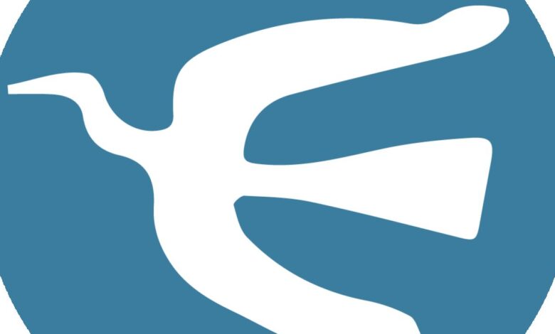 ArtPress, una narración propia: el mapa estético de Ezequiel Alemian